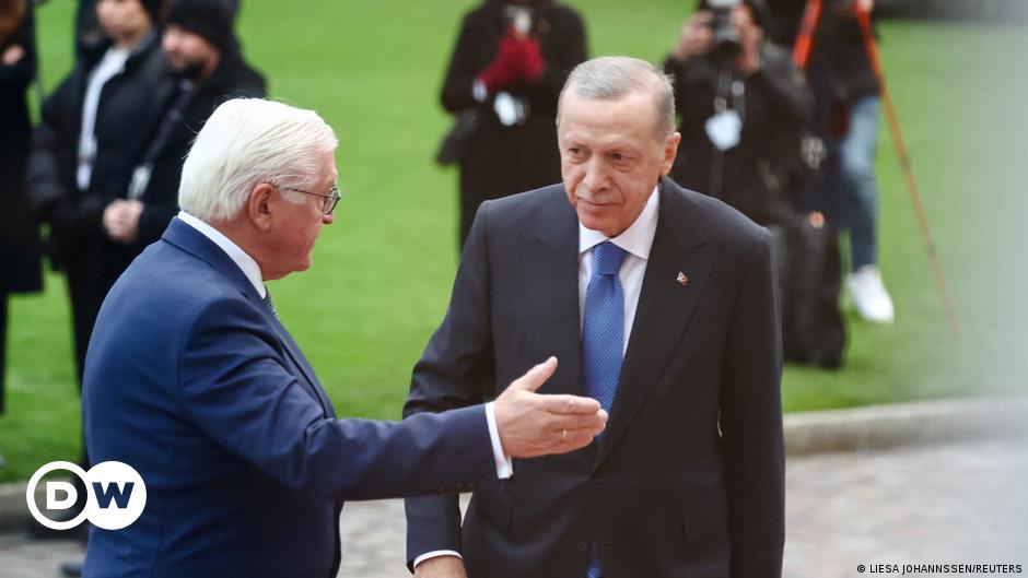 Almanya'da Steinmeier'e "Erdoğan ile açık konuş" çağrısı - DW (Türkçe)