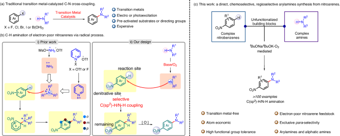 Para-seçici nitrobensen aminasyonu C(sp2)-H/N-H oksidatif çapraz eşleşme ile aminil radikal liderliğinde – Nature.com