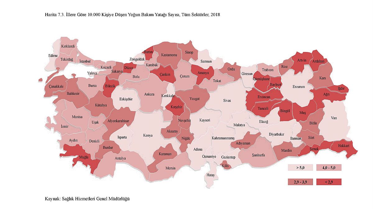 Türkiye’de Yoğun Bakım Yatağı Dağılımı: Bölge Bölge İnceleme – Euronews