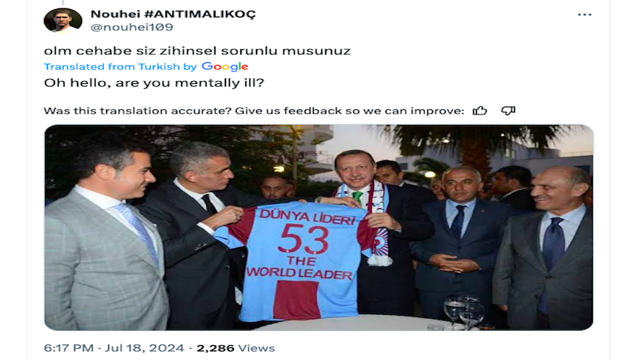 İSTANBUL’DA BLOG: Komik “kendi kalesine gol” futbol anketini besledi ve gülünç ışık anahtarı protestosu muhalefetin beceriksizliğini vurguladı – bne IntelliNews