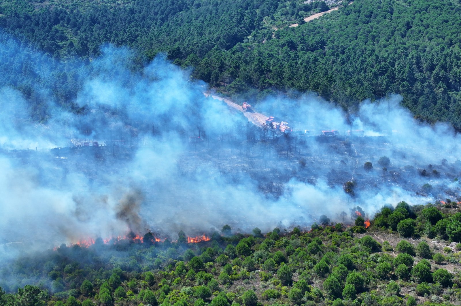 Istanbul deploys AI, drones, fire towers to combat forest fires | Daily Sabah - Daily Sabah